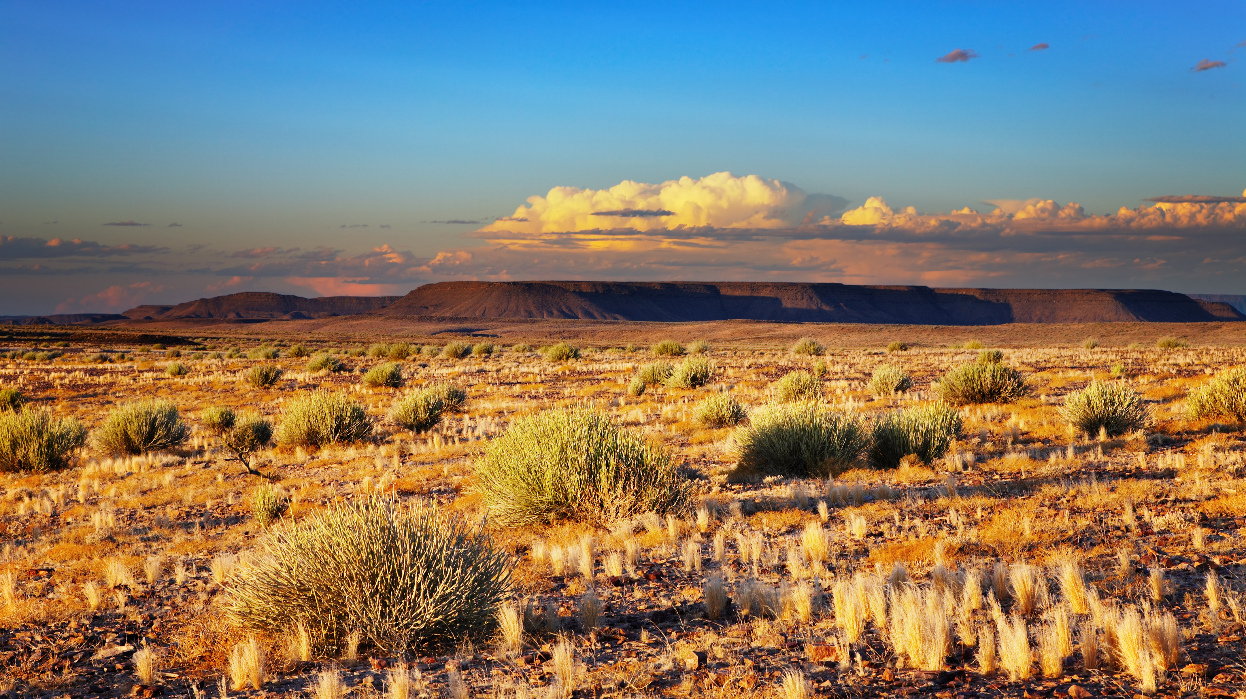 Kalahari