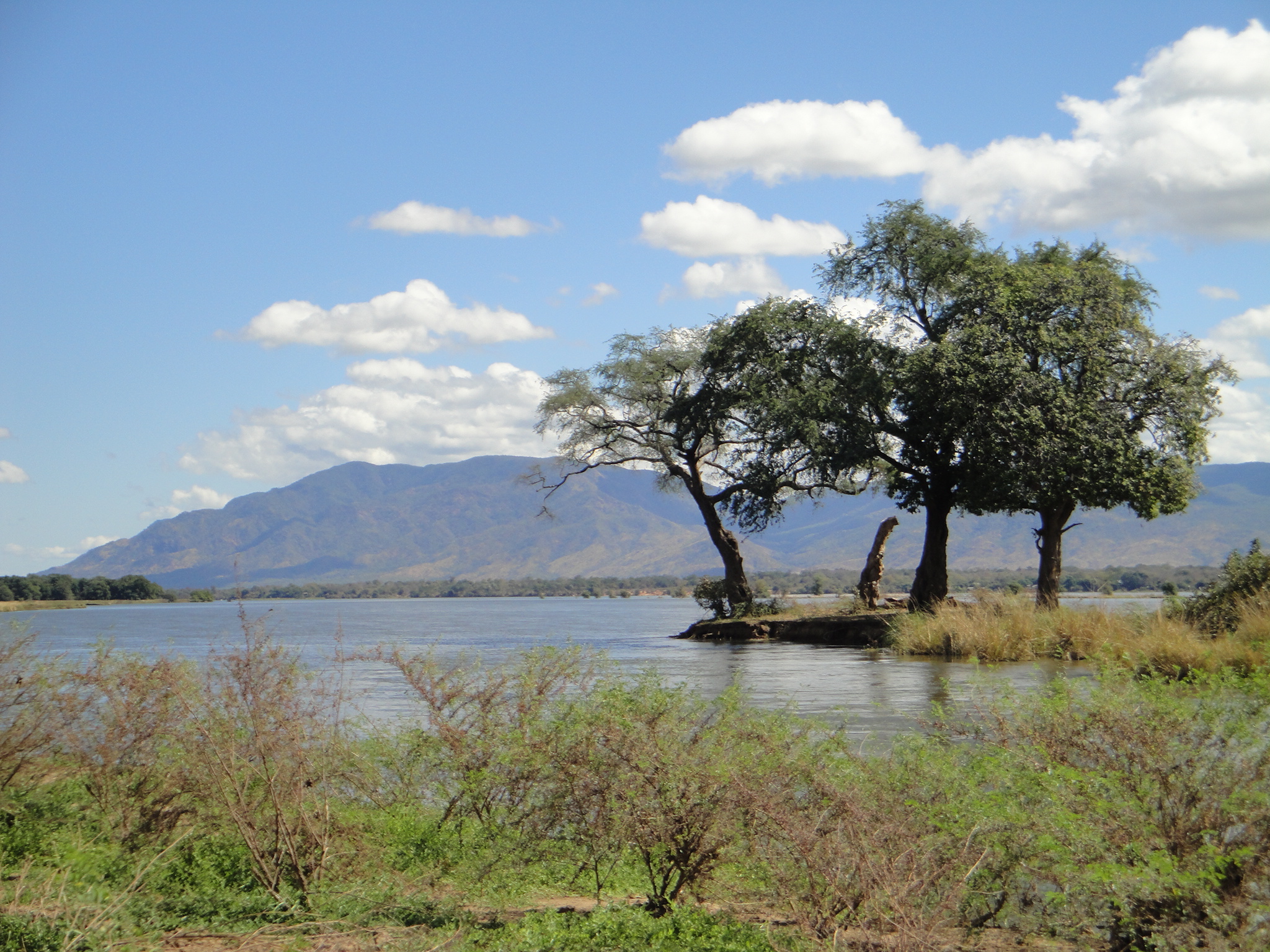 ZambeziRiver