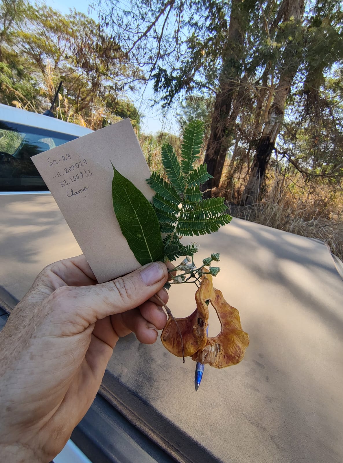 Vegetation sampling Zambia