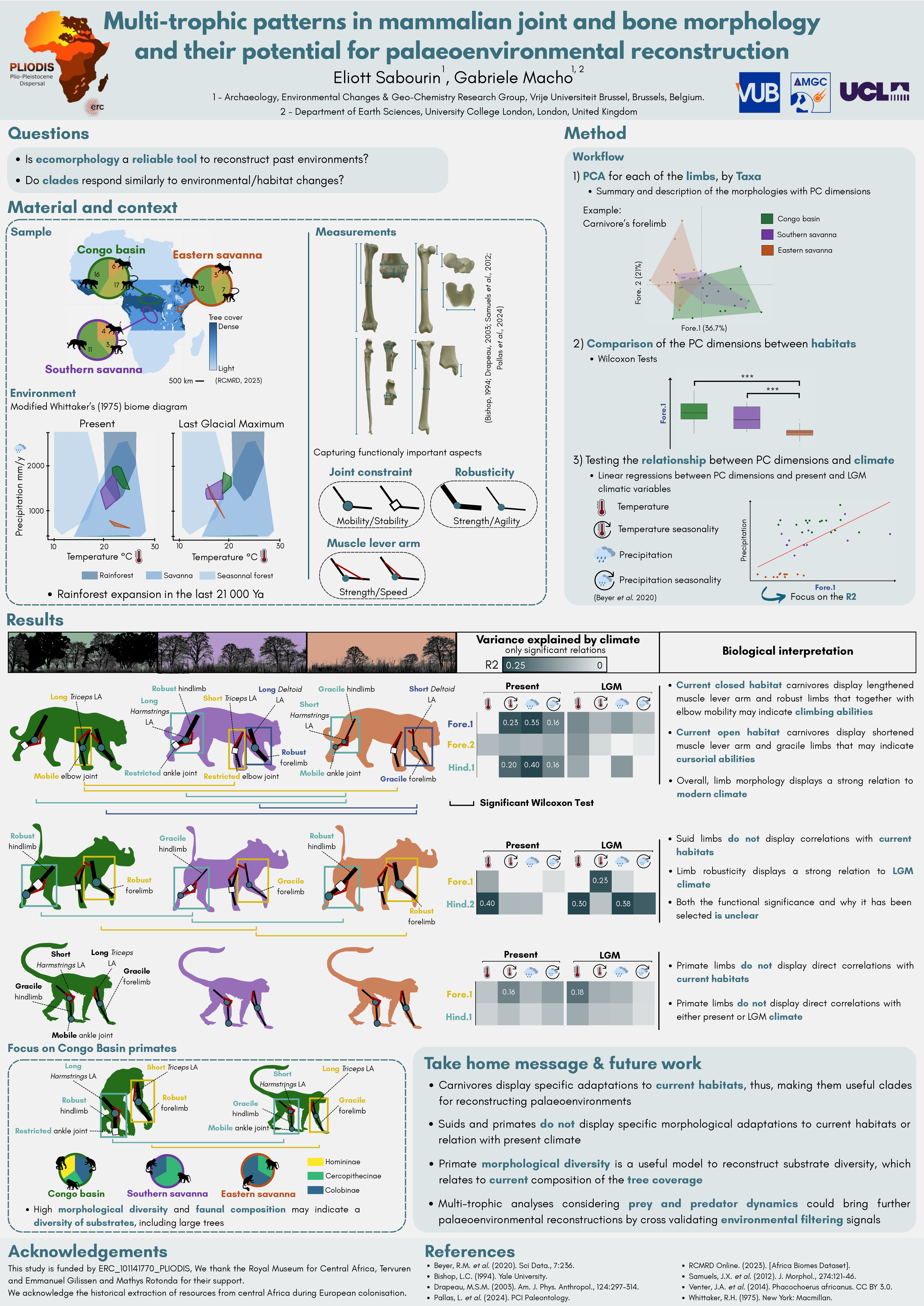 Poster: Modelling hominin dispersal to southern Africa